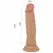 Pretty Love Quentin Anatomical Model 18 cm TPR with Suction Base, Beige