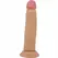 Pretty Love BW-008119LP Anatomical Model 21 cm with Suction Base Flesh