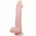Baile Super Realistic Series 22 cm Anatomical Model with Suction Cup