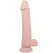 Baile Super Realistic Series 22 cm Anatomical Model with Suction Cup