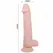 Baile Super Realistic Series 22 cm Anatomical Model with Suction Cup