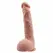 Baile Jason Natural 24 cm Anatomical Model with Suction Base TPR