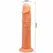 Baile Vive Intimni Model 19.8 cm Prirodna Boja sa Usisnom Bazom