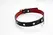 WHIPS Leather Collar Black - Adjustable, Premium Craftsmanship, 2 cm