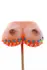 Sweet Lollipop Bust Candy 125g - Handmade Unique Patterns, 16x9x4 cm