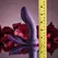 Playboy Mix & Match Purple Multi-Function Vibrating System
