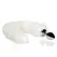 SINNERGEE Light-up Fox Tail Intimate System White - LED, Metal, Universal Size