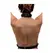 Strict Leather Chest Harness Adjustable Black Women’s Model