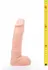 Hung System Mickey 24 cm Anatomical Silicone Model with Suction Base