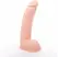 Hung System George 22 cm Anatomical Model with Suction Base