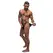 Male Power Grip Rip Breakaway Bikini S Black Elastic Waistband