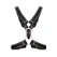 Z Series Scottish Leather Harness S/M with Stainless Steel Details