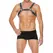 Z Series Leather Chest Harness S/M with Stainless Steel Accents