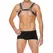 Z Series Chest Bulldog Harness L/XL - Premium Leather Adjustable Model