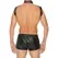 Kinksters Leather Adjustable Harness with Neck Collar, Black, Universal Size
