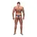 Male Power Avant-Garde Enhancer Thong L/XL Antique Blue Finish