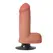 Curve Novelties 6