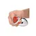 XR Brands Red Jasper Heart Aluminum Model Large - Decorative Plug