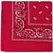 Hanky Code Cotton Handkerchief Red - Symbolic Accessory 55x55cm