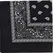 Hanky Black Bandana - Classic Color Code Accessory