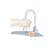 Shots Soap on a Rope Hand-Shaped Cleansing Bar 200g White