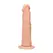 YOU2TOYS Dong Model 17 cm Boja Kože, Vakuumska Baza