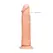 YOU2TOYS Dong Model 17 cm Boja Kože, Vakuumska Baza