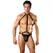 Male Power Gladiator Harness Thong with Choker L/XL Black