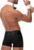 Male Power Butler Costume S/M - Tuxedo-Style Set with Accessories