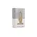 Shots Basic Glass Anal Model 3 - 7.6cm Borosilicate with Safety Base