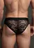 Dreamgirl Lace Brief S/M - Sheer Lace Intimate Underwear