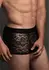 Dreamgirl Lace Boxer L/XL - Elegant Sheer Stretch Briefs