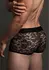 Dreamgirl Lace Boxer L/XL - Elegant Sheer Stretch Briefs