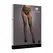 Shots Le Desir Fishnet & Lace Garterbelt Stockings One Size Black
