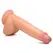 XR Brands Beefy Brad 23cm Anatomical Model with Suction Base, Light
