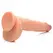 XR Brands Beefy Brad 23cm Anatomical Model with Suction Base, Light