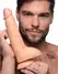 XR Brands Beefy Brad 23cm Anatomical Model with Suction Base, Light