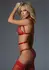 Touch Me If You Dare Fishnet Bodysuit with Adjustable Straps, One Size