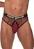 Male Power Cock Pit Net Thong L/XL Burgundy with Detachable Pouch