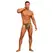 Male Power Tarzan Loincloth Thong - One Size, Animal Collection