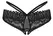 Obsessive Donarella Intimate Briefs M/L Black Embroidered Crotchless