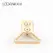 LOCKINK Ball-Gag & Gag-Bite Set Brown Adjustable Strap Storage Box