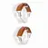 LOCKINK Ball-Gag & Gag-Bite Set Brown Adjustable Strap Storage Box