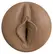 Fleshlight Boost Bang Dark intimna mašina sa kontrolom usisavanja, 24,8 cm