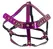ZADO Head Harness Metallic Fuchsia Adjustable with Rhinestone Accents