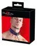 ZADO Adjustable PU Collar with Decorative Spikes & Detachable Leash 112cm