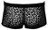 Noir Handmade M.Pants Leopard Powernet L Transparent Men’s Pants
