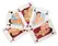 You2Toys Kama Sutra Playing Cards 54pcs - Fun Illustrated Card Game