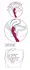 Sweet Smile Dvoglavi Vibrator 7 Modova Silikon 23.5cm Roze