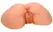 Nasstoys Carmen Luvana Cyberskin Intimate Torso Vibrating 40x33cm